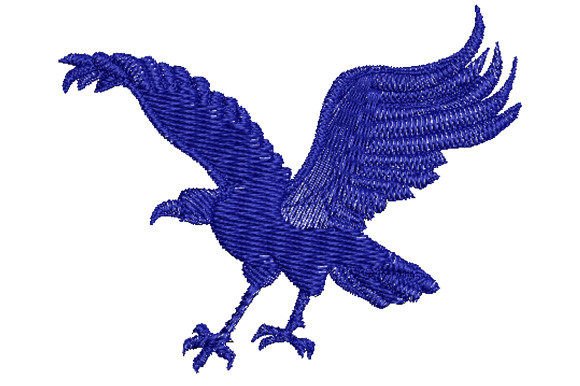 Falcon Spreading Its Wings: A Designer’s Review