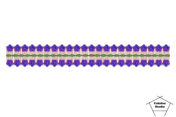 Stack Flowers Border: A Designer’s Review for Craft Fairs